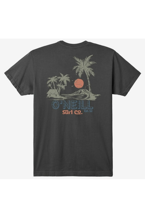 Men's T-Shirt Hideaway Short Sleeve Crewneck Tee (X-Large, Dark Charcoal)