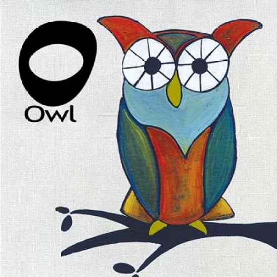 O - Owl Canvas Art - Shanni Welsh (24 x 24)