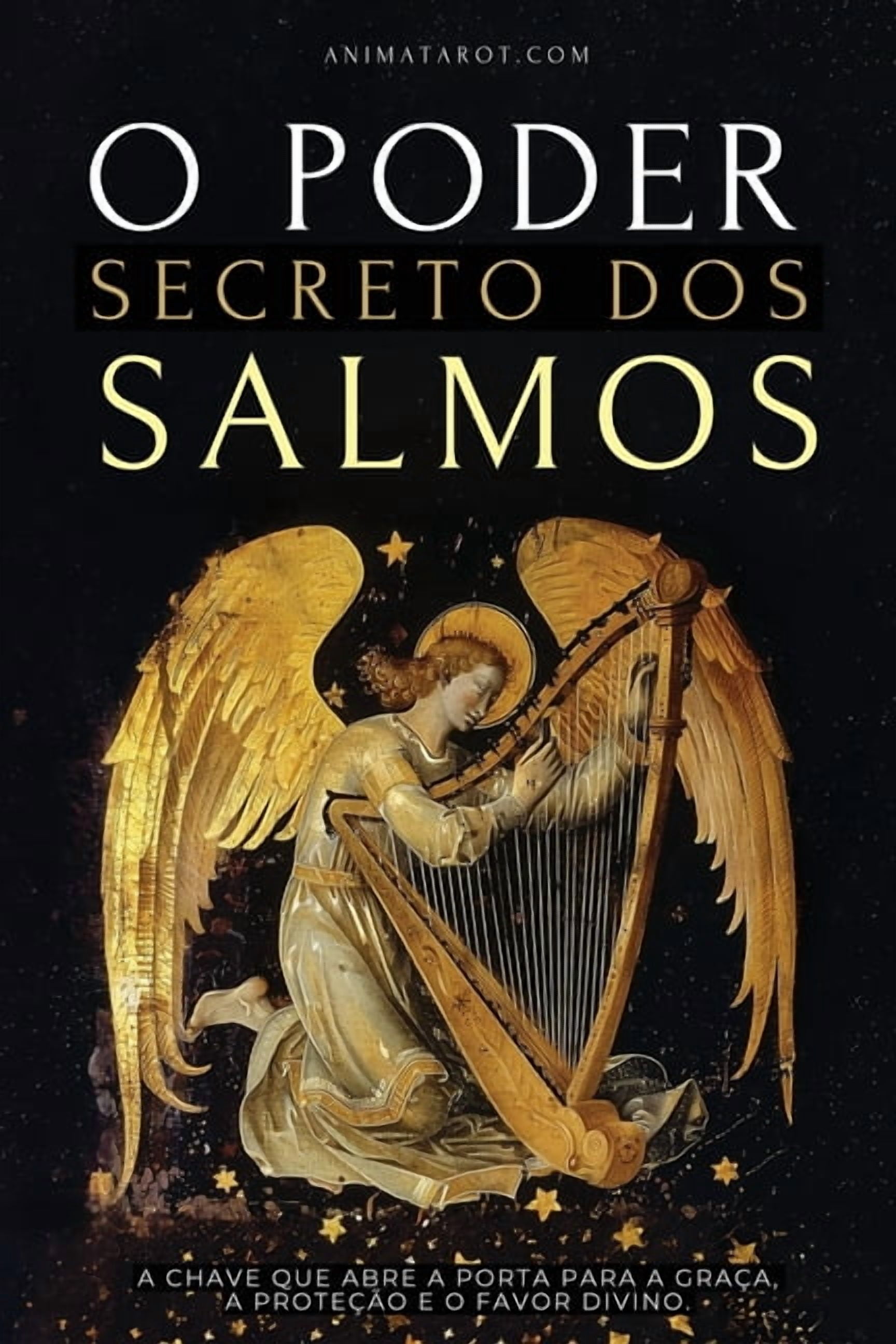 O Poder Secreto dos Salmos: A chave que abre a porta para a graÃ§a, a proteÃ§Ã£o e o favor divino., (Paperback)