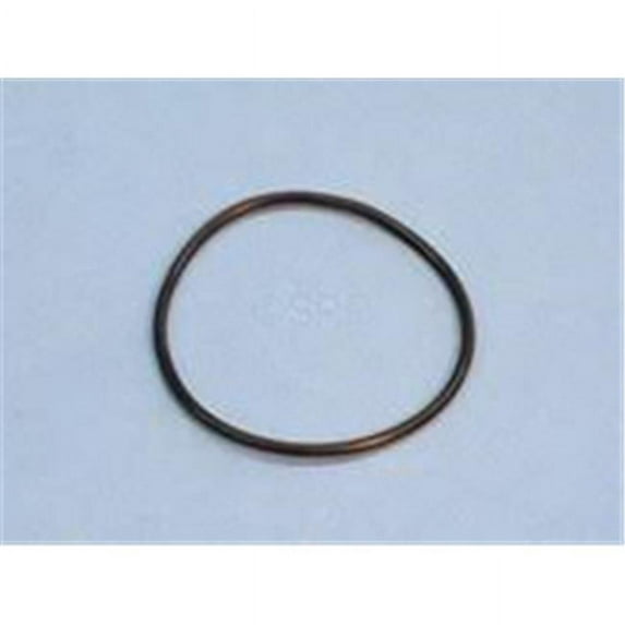 O-Ring, Fits Waterway MPV
