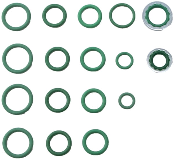 O-Ring & Gasket A/C System Seal Kit