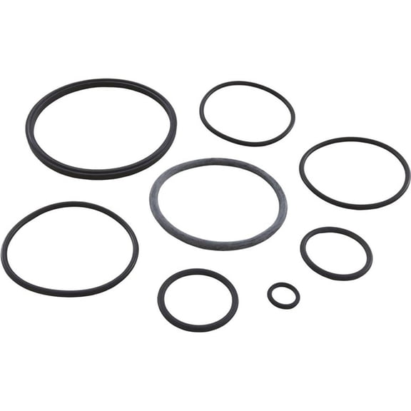 O-Ring Kit, Zodiac Nature2 Fusion