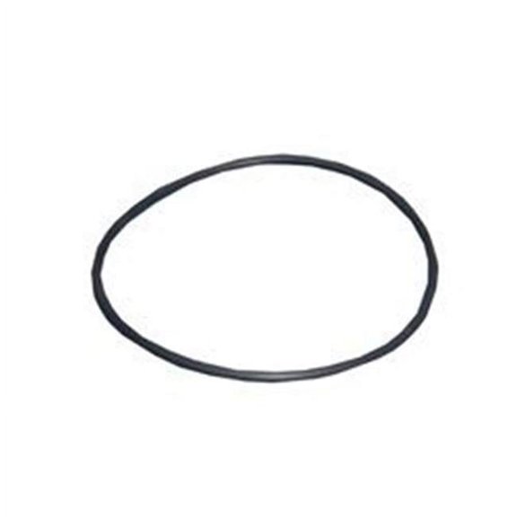 O-Ring, Pump Housing Tiny Might