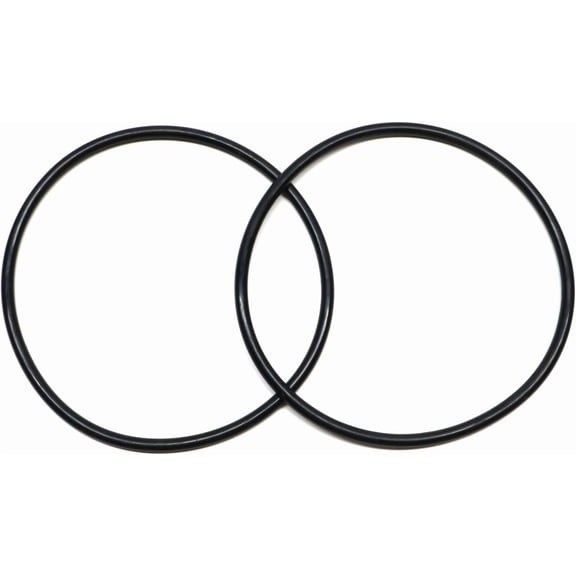 O-Ring  Replacement 354533 Cover O-Ring for Pentair Sta-Rite Dynamo/Sea-Horse Pool Pump (2 Pack)
