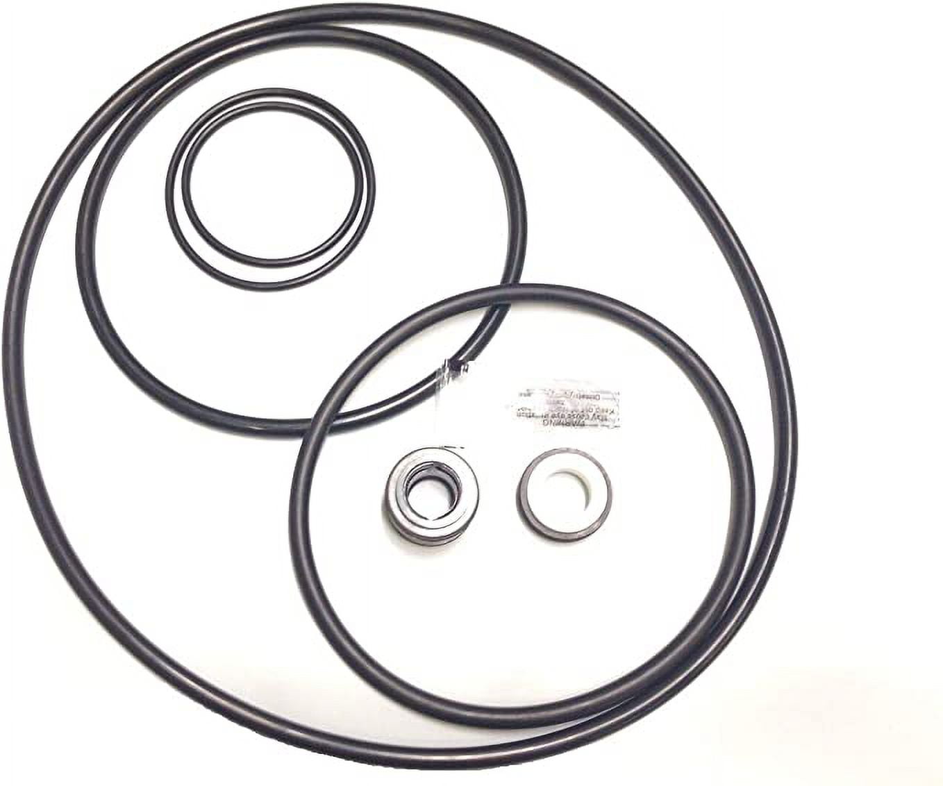 ORing Seal Gasket Rebuild Repair Kit for Pentair Pac Fab Challenger