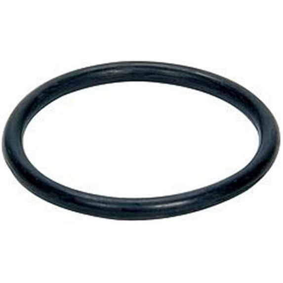 O-Ring for Radiator Inlet Fitting