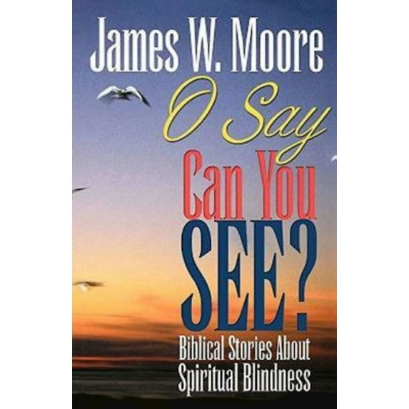 O Say Can You See?: Biblical Stories about Spiritual Blindness (Paperback)