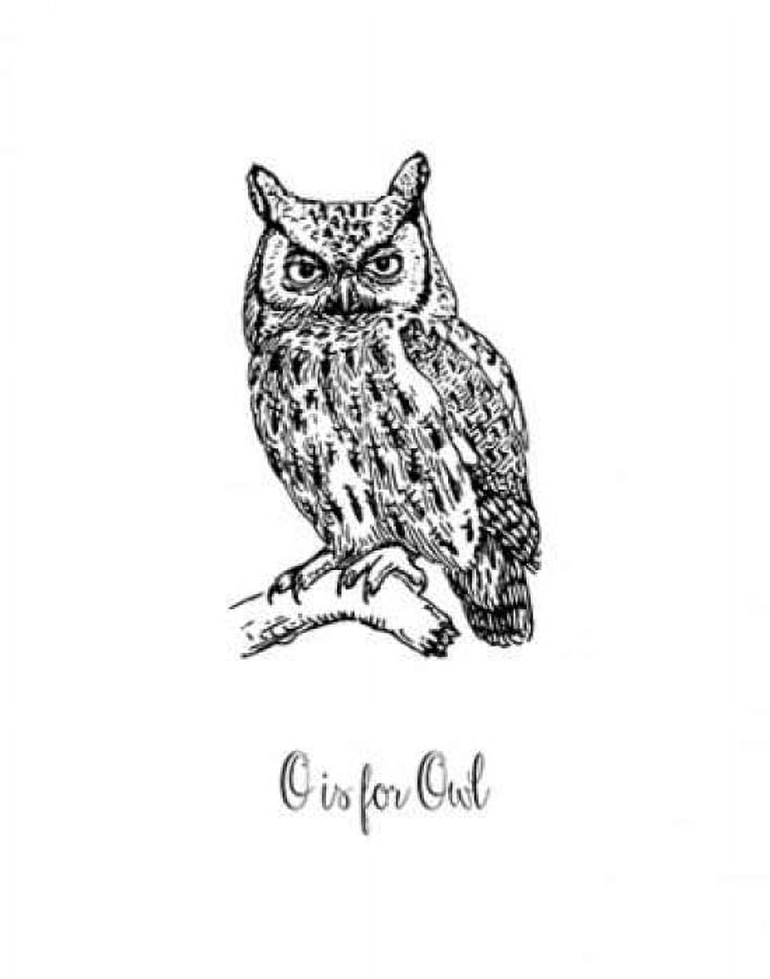 O is for Owl Canvas Art - Tara Moss (22 x 28)