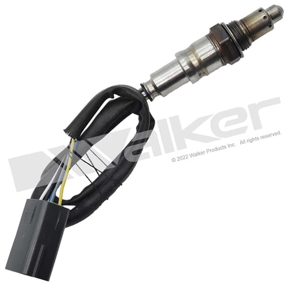 O2 Sensor 5-W Wideband D