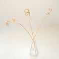 OATIPHO 20Pcs Reed Sticks Bamboo Golden Porous Design for Refreshing ...