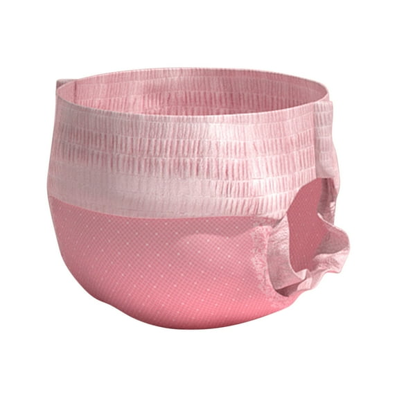 OAVQHLG3B 10 PCS Disposable Dog Diapers Female, Doggie Diapers for Female Dogs, Strong Absorbency Leak Proof, for Small Dogs