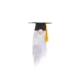 thumbnail image 1 of OAVQHLG3B 2022 Graduation gifts Plush Gnomes for Graduation Party Decorations Graduation Ceremony gifts Class of 2022 Party Home Table Decor, 1 of 1