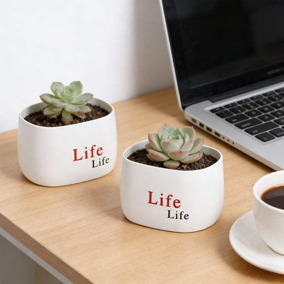 OAVQHLG3B 2Pcs Plastic Planters Indoor Flower Plant Pots, Mini Flower Seedlings Nursery Pot/Planter/Flower Pot with Pallet, Modern Decorative Gardening Containers