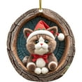 thumbnail image 1 of OAVQHLG3B Animal Christmas Ornament, Owl Ornaments for Christmas Tree, 2D Acrylic Forest Owl Raccoon Animal Hanging Ornaments for Christmas Tree Holiday Party Gifts Decoration, 1 of 5
