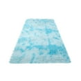thumbnail image 1 of OAVQHLG3B Area Rugs for Bedroom Living Room, 63x20Inch Tie-Dyed Shag Rug, Small Fluffy Washable Non-Slip Throw Carpet for Home Decor, 1 of 4