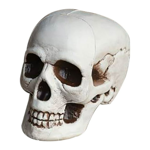 OAVQHLG3B Halloween Skull Head Decor, Mini Plastic Human Head Skeleton Statue Realistic Skull Props for Halloween Bar and Table Creepy Atmosphere, Spooky Yard Decor