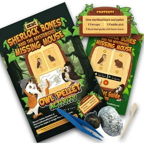 OBDK Barn Owl Pellets for Dissection - 1 Pack Sherlock Bones with Tools, Guide, and Charts from Owl Brand Discovery Kits