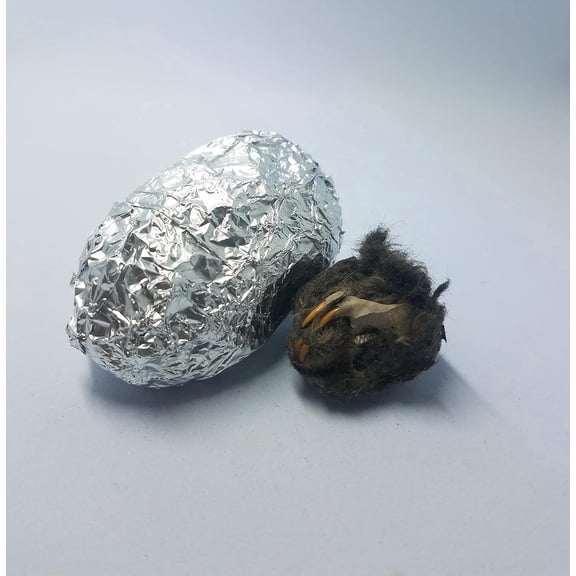 OBDK Barn Owl Pellets for Dissection - 10 Pack Medium Sized (2.0"-Larger) with Tools, Guide, and Charts from Owl Brand Discovery Kits