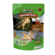 OBDK Barn Owl Pellets for Dissection - 20 Pack Medium Sized 1.5-2.0 with Tools, Guide and Charts from Owl Brand Discovery Kits