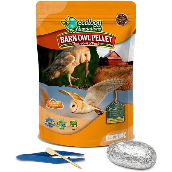 OBDK Barn Owl Pellets for Dissection - 5 Pack Jumbo Sized (2.0"-Larger) with Tools, Guide, and Charts from Owl Brand Discovery Kits
