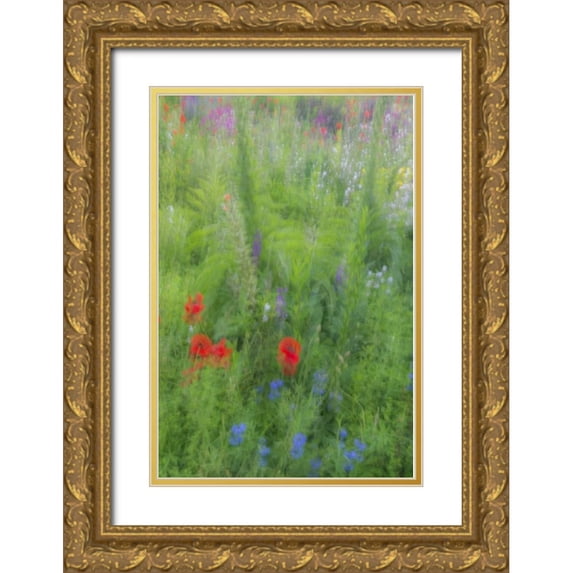 OBrien, Jay 11x14 Gold Ornate Wood Framed with Double Matting Museum Art Print Titled - USA, Pennsylvania Summer flowers abstract