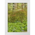 thumbnail image 1 of OBrien, Jay 11x14 White Modern Wood Framed Museum Art Print Titled - USA, Pennsylvania Spring, forest scenic, 1 of 4
