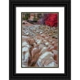 thumbnail image 1 of OBrien, Jay 13x18 Black Ornate Wood Framed with Double Matting Museum Art Print Titled - USA, Utah, Zion NP Ground rock pattern, 1 of 4