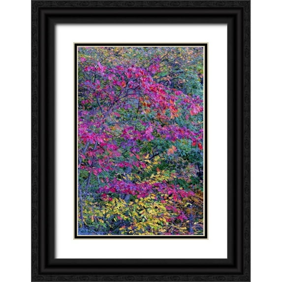 OBrien, Jay 13x18 Black Ornate Wood Framed with Double Matting Museum Art Print Titled - Virginia, McLean Scenic in Great Falls SP