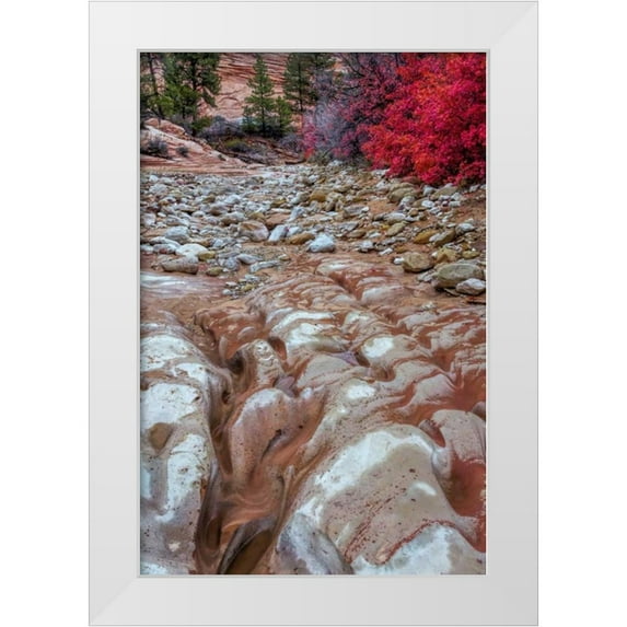 OBrien, Jay 13x18 White Modern Wood Framed Museum Art Print Titled - USA, Utah, Zion NP Ground rock pattern