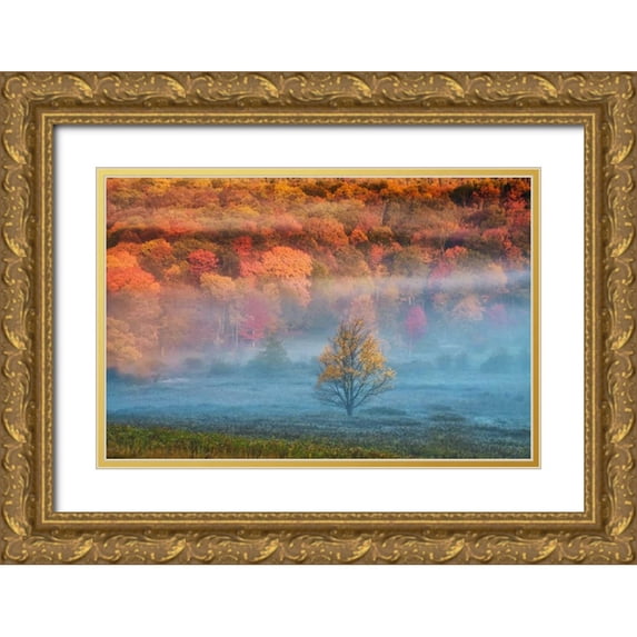 OBrien, Jay 14x11 Gold Ornate Wood Framed with Double Matting Museum Art Print Titled - WV, Davis Misty valley and forest in Autumn