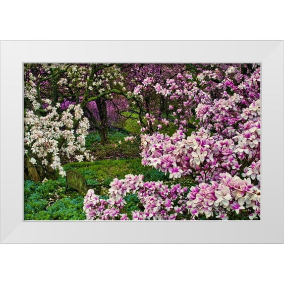 OBrien, Jay 14x11 White Modern Wood Framed Museum Art Print Titled - Delaware, Wilmington Flower and trees in garden