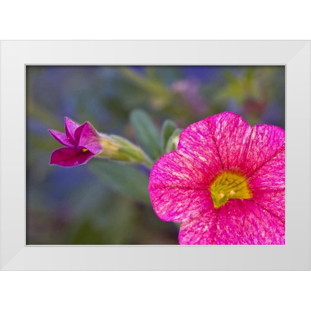 Curated visual reference: Fresh Look at Obrien Jay 14X11 White Modern Wood Framed Museum Art Print