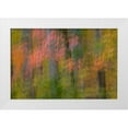 thumbnail image 1 of OBrien, Jay 14x11 White Modern Wood Framed Museum Art Print Titled - VA, Great Falls Park Abstract of autumn trees, 1 of 4