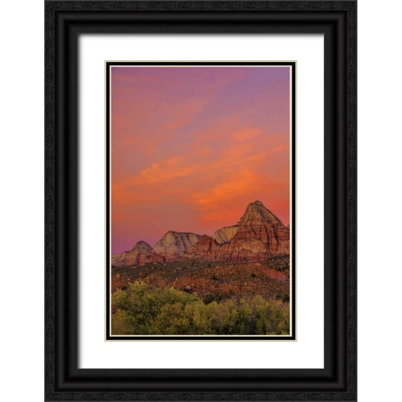 OBrien, Jay 17x24 Black Ornate Wood Framed with Double Matting Museum Art Print Titled - USA, Utah, Zion NP Mountain landscape