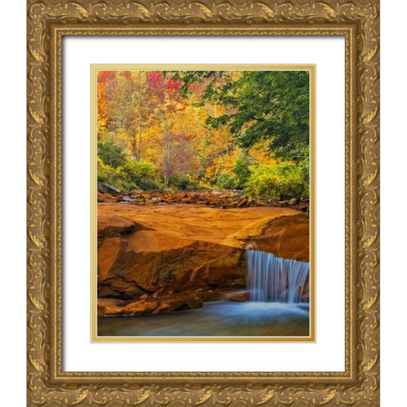 OBrien, Jay 20x24 Gold Ornate Wood Framed with Double Matting Museum Art Print Titled - WV, Douglass Falls Waterfall over rock outcrop