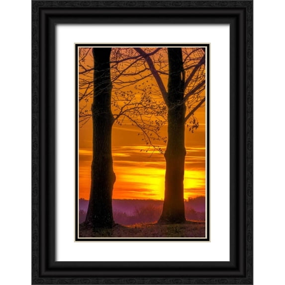 OBrien, Jay 23x32 Black Ornate Wood Framed with Double Matting Museum Art Print Titled - Pennsylvania, King of Prussia Tree at sunrise