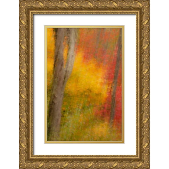 OBrien, Jay 23x32 Gold Ornate Wood Framed with Double Matting Museum Art Print Titled - New York, Inlet Abstract of autumn forest scene