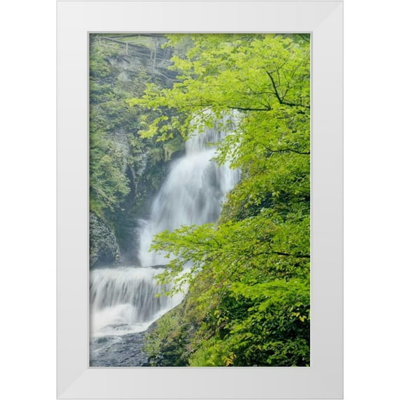 OBrien, Jay 23x32 White Modern Wood Framed Museum Art Print Titled - PA, Dingmans Ferry, Dingmans Ferry Falls
