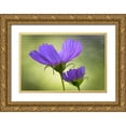 thumbnail image 1 of OBrien, Jay 24x17 Gold Ornate Wood Framed with Double Matting Museum Art Print Titled - Wilmington, Delaware Cosmos flowers, 1 of 4