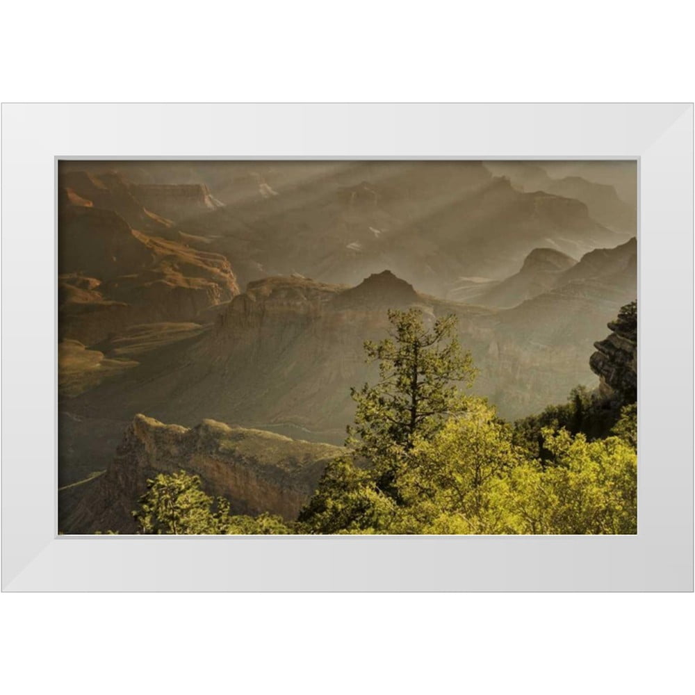OBrien, Jay 24x17 White Modern Wood Framed Museum Art Print Titled - AZ ...