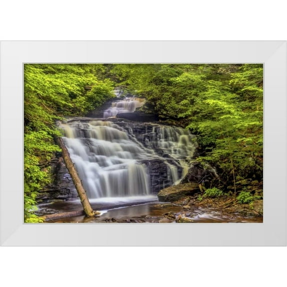 OBrien, Jay 24x17 White Modern Wood Framed Museum Art Print Titled - Pennsylvania, Ricketts Glen SP Mohican Falls