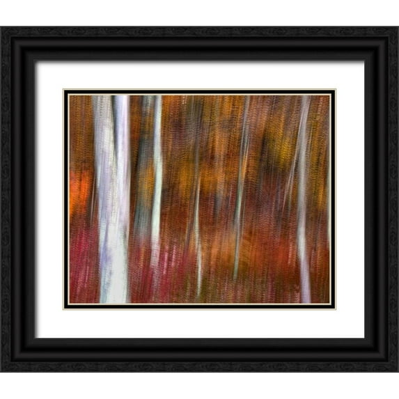 OBrien, Jay 24x20 Black Ornate Wood Framed with Double Matting Museum Art Print Titled - PA, Delaware Water Gap NRA Abstract of trees