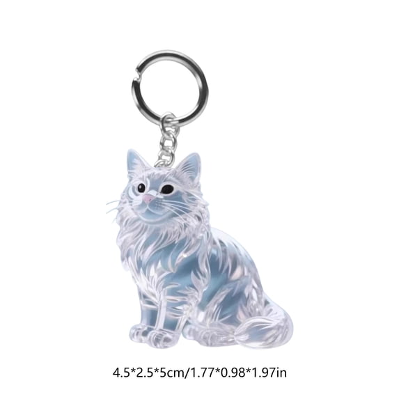 OCCOA Pet Hair Keepsake Box Keychain for Cats and Dogs Memorial, Transparent Pendant Locket for Pet Fur Remembrance, Mini Storage Container, B