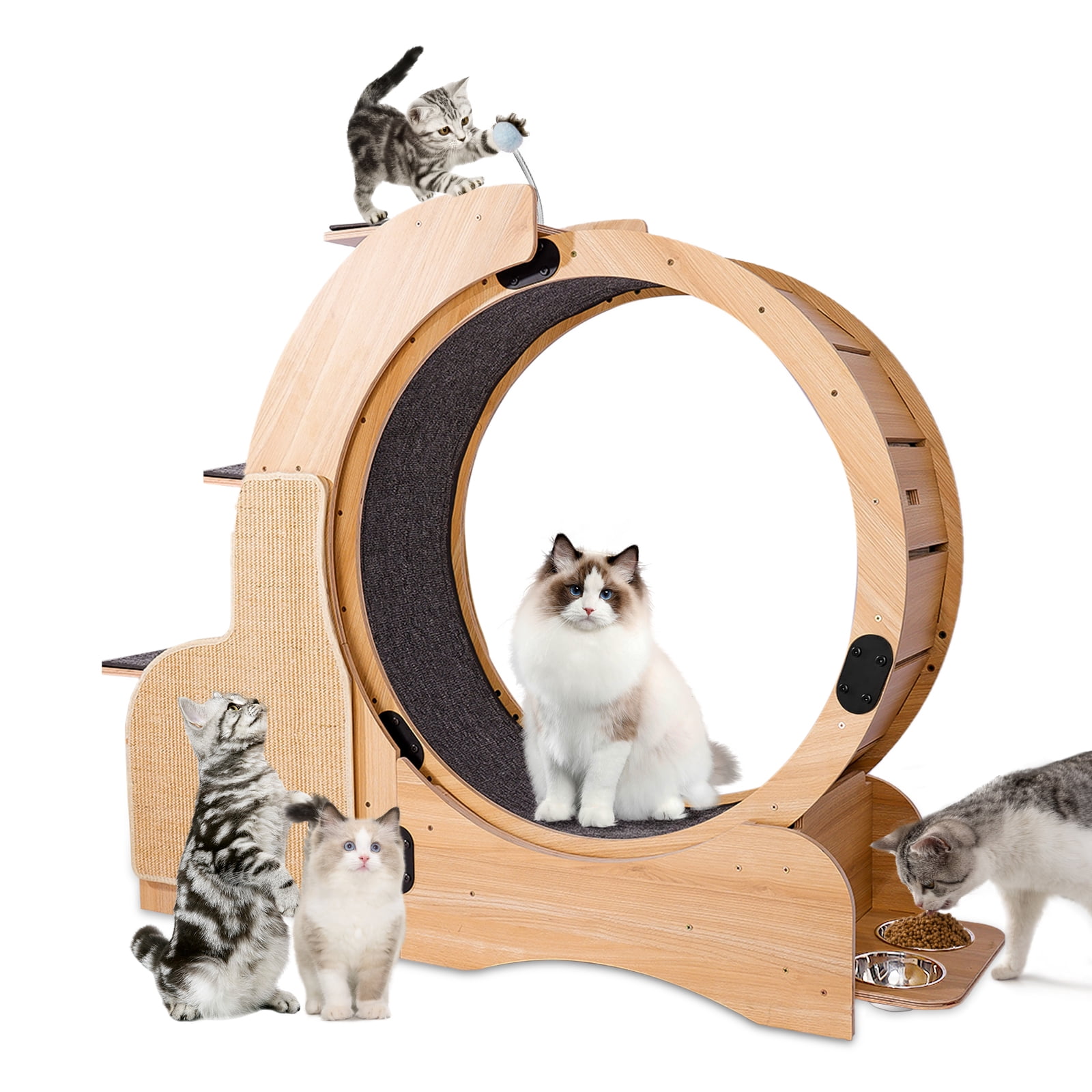 OCYCLONE Large Cat Wheel, Pet Exercise Treadmill Runway with Climb