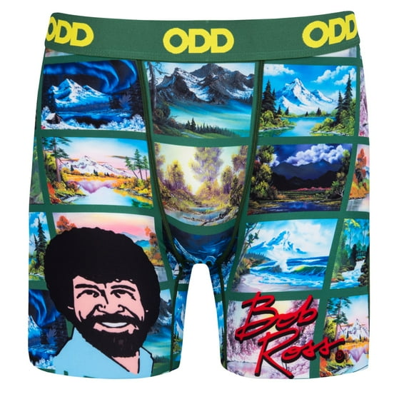 ODD SOX Men's Novelty Underwear Boxer Briefs, Paintings By Bob Ross- Large