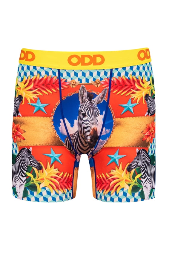 Men's Novelty Underwear Boxer Briefs, Zebras High Fashion- X-Large