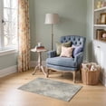 thumbnail image 1 of ODIKA 2'x3' Ultra-Soft Accent Mat, Extra Large Faded Mottled Contemporary Scattered Motifs Neutral None Washable, Bare feet friendly, Easy Care Indoor rug for Bedside, Footrest, 1 of 7