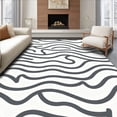 thumbnail image 1 of ODIKA 2'x3' Machine Washable Non-Slip Area Rug, Funky Ripple Wave Featuring Abstract Cat Motifs High Traffic Rug, Gray, 719554, 1 of 7