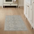 thumbnail image 1 of ODIKA 3'x5' Washable Accent Rug Pet Friendly, Non-Shedding Mat Boho Dining Faded Scroll Grid Repeating Botanical Table Ash for Bedside, Nursery Room, 1 of 7