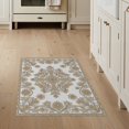 thumbnail image 1 of ODIKA 3'x5' Washable Area Rug Non-Slip, Flatweave, Easy Care Traditional Boho Flowing Scrollwork Scattered Botanical Contemporary for Hallway, Laundry Room, 1 of 7